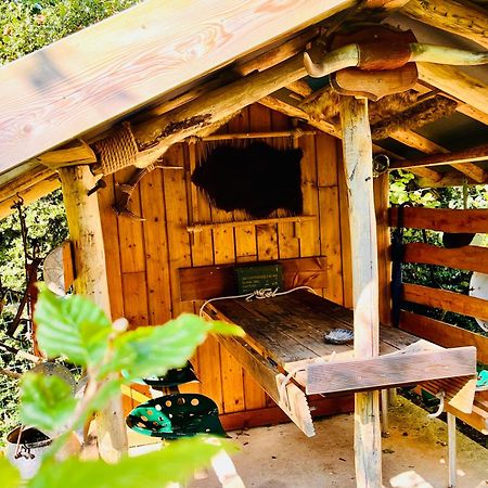 La Cabane Perchee Du Trappeur Ecrainville ภายนอก รูปภาพ