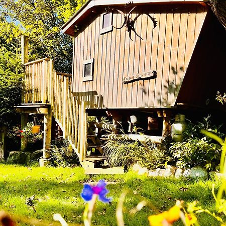 La Cabane Perchee Du Trappeur Ecrainville ภายนอก รูปภาพ