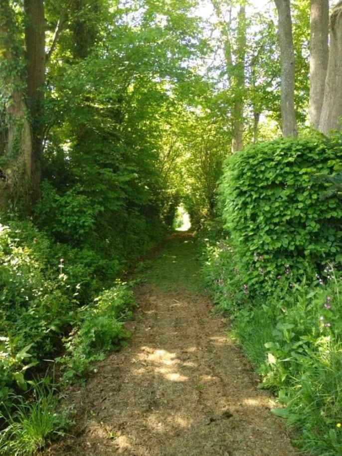 La Cabane Perchee Du Trappeur Ecrainville ภายนอก รูปภาพ