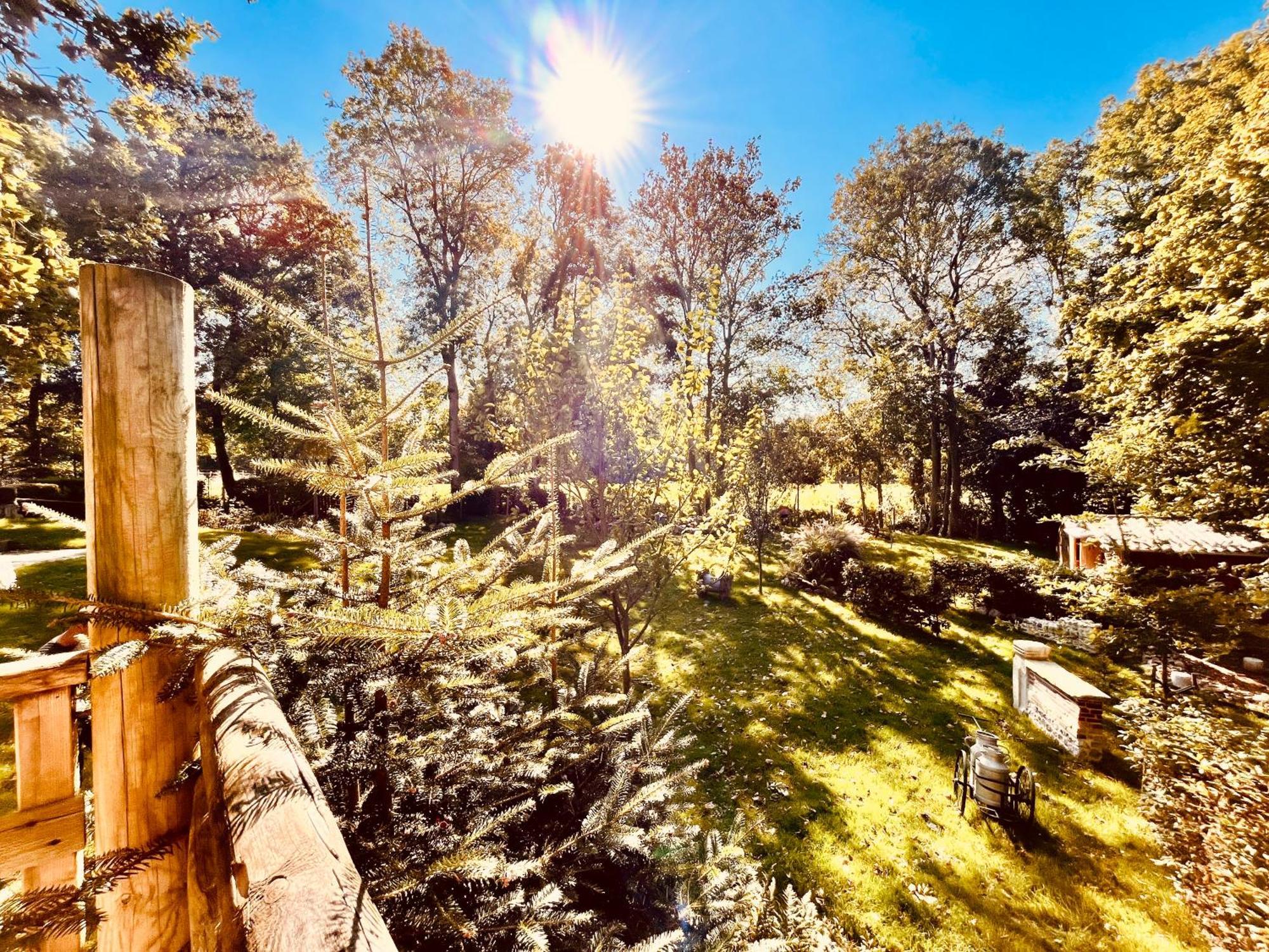 La Cabane Perchee Du Trappeur Ecrainville ภายนอก รูปภาพ