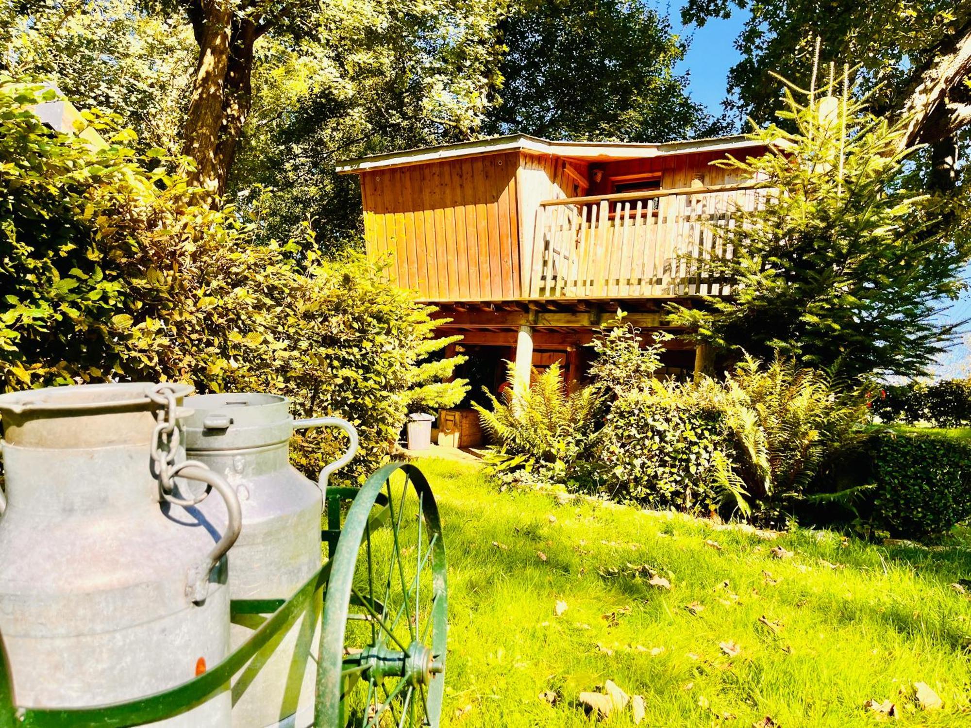 La Cabane Perchee Du Trappeur Ecrainville ภายนอก รูปภาพ