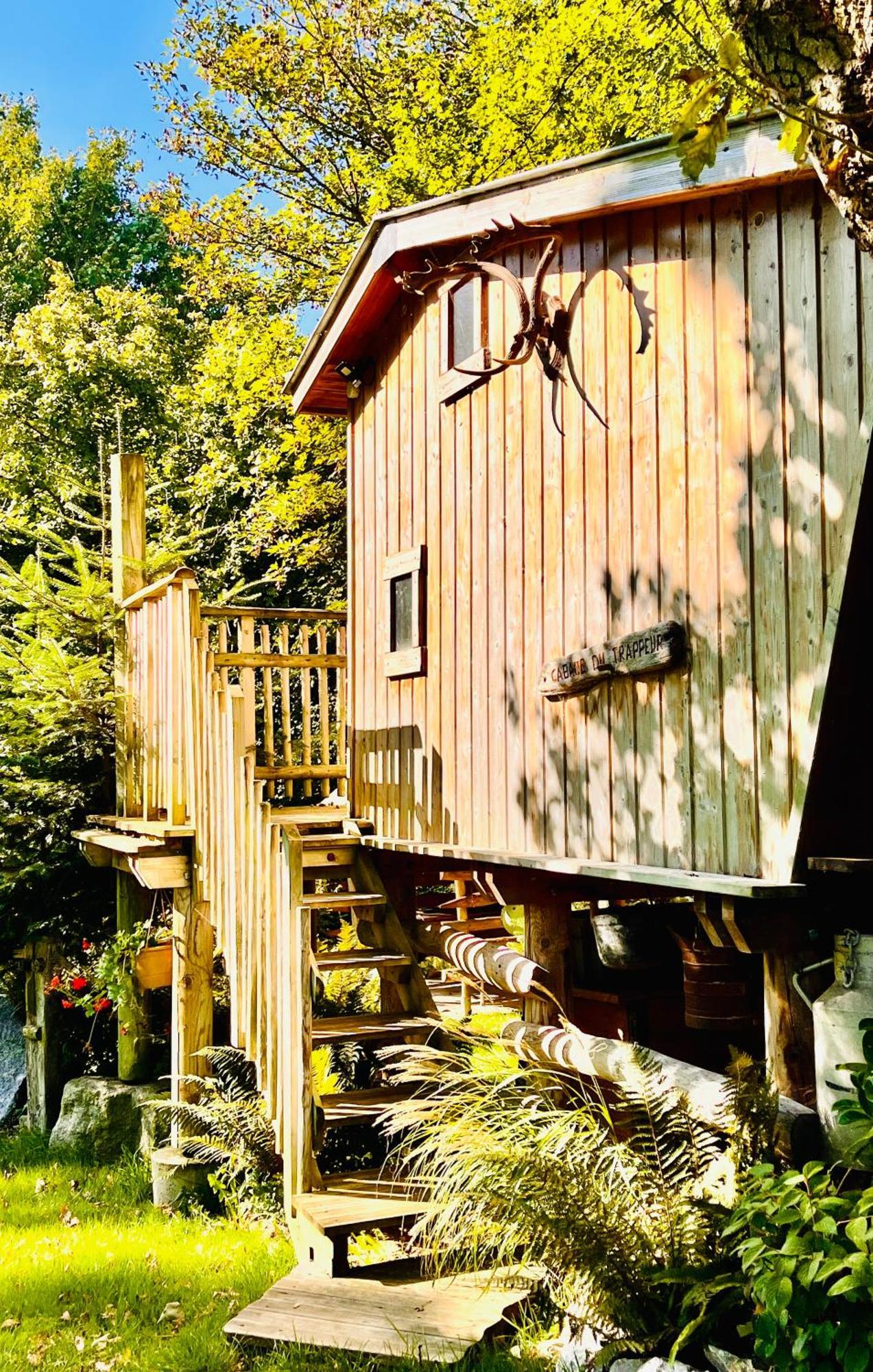 La Cabane Perchee Du Trappeur Ecrainville ภายนอก รูปภาพ