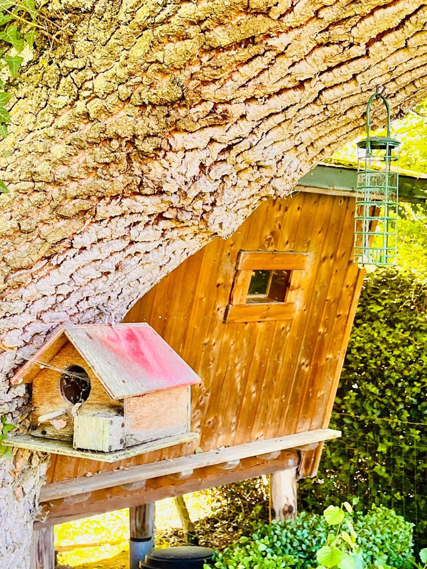 La Cabane Perchee Du Trappeur Ecrainville ภายนอก รูปภาพ